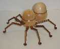 Maple and Walnut Spider