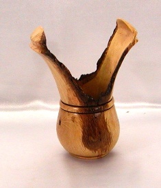 Elk